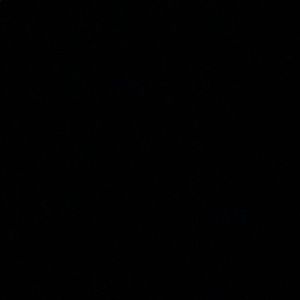 Meet your Posher, Meg